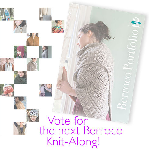 Vote for the next Berroco Knit-Along